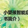 小嬰孩智能啟蒙全書（關于小嬰孩智能啟蒙全書簡介）