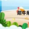 犀牛角的識別（犀牛角識別）