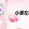 小婆左村（關于小婆左村簡介）