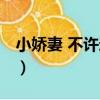 小嬌妻 不許逃！（關于小嬌妻 不許逃！簡介）