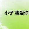 小子 我愛你啊（關于小子 我愛你啊簡介）