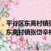平谷區東高村鎮張岱辛村撞青年志愿者服務隊（關于平谷區東高村鎮張岱辛村撞青年志愿者服務隊介紹）