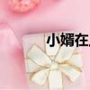 小婿在上（關于小婿在上簡介）
