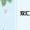雙匯萬隆簡介（雙匯萬隆）