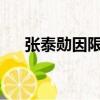 張泰勛因限韓令已確定不參演青春旋風