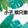 小子 姐只寵你（關于小子 姐只寵你簡介）