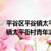 平谷區平谷鎮太平街村青年志愿者服務隊（關于平谷區平谷鎮太平街村青年志愿者服務隊介紹）