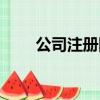 公司注冊網上流程（網絡公司注冊）