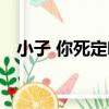 小子 你死定啦（關于小子 你死定啦簡介）