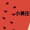 小姜莊村（關于小姜莊村簡介）