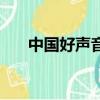 中國好聲音評論員（中國好聲音評論）