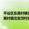 平谷區東高村鎮北張岱村青年志愿者服務隊（關于平谷區東高村鎮北張岱村青年志愿者服務隊介紹）