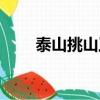 泰山挑山工精神感悟（泰山挑山工）