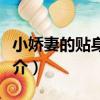 小嬌妻的貼身高手（關于小嬌妻的貼身高手簡介）