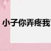 小子你弄疼我了（關于小子你弄疼我了簡介）