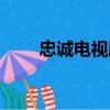 忠誠電視劇演員介紹（忠誠電視劇）