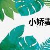 小嬌妻2（關于小嬌妻2簡介）