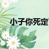 小子你死定了（關于小子你死定了簡介）
