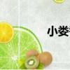 小婁巷（關于小婁巷簡介）