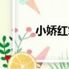 小嬌紅掌（關于小嬌紅掌簡介）