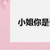 小姐你是誰（關于小姐你是誰簡介）