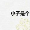 小子是個啥（關于小子是個啥簡介）