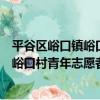 平谷區峪口鎮峪口村青年志愿者服務隊（關于平谷區峪口鎮峪口村青年志愿者服務隊介紹）