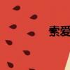 索愛508手機（索愛508）