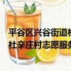 平谷區興谷街道杜辛莊村志愿服務隊（關于平谷區興谷街道杜辛莊村志愿服務隊介紹）