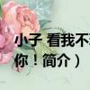 小子 看我不玩死你！（關于小子 看我不玩死你！簡介）