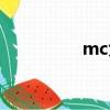 mc大白曉曉（mc曉天）