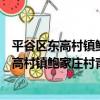 平谷區東高村鎮鮑家莊村青年志愿者服務隊（關于平谷區東高村鎮鮑家莊村青年志愿者服務隊介紹）