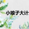 小娘子大計劃（關于小娘子大計劃簡介）