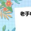 老手電影劇情（老手 電影）