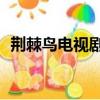 荊棘鳥電視劇83版在線觀看（荊棘鳥電影）