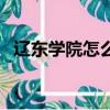 遼東學院怎么樣好不好（遼東學院怎么樣）