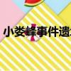 小婁峰事件遺址（關于小婁峰事件遺址簡介）