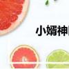 小婿神醫（關于小婿神醫簡介）