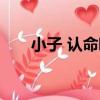 小子 認命吧（關于小子 認命吧簡介）