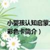 小嬰孩認知啟蒙大卡：彩色卡（關于小嬰孩認知啟蒙大卡：彩色卡簡介）
