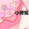 小婢冤死（關于小婢冤死簡介）
