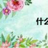 什么動物比較瘦（較瘦）
