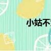 小姑不賢（關于小姑不賢簡介）