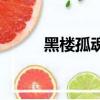 黑樓孤魂未刪減資源（黑樓孤魂）