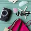 小翻子拳（關于小翻子拳簡介）
