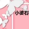 小婆右村（關于小婆右村簡介）