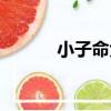 小子命大（關于小子命大簡介）