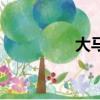 大馬哈是什么（大馬哈）