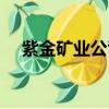 紫金礦業公司怎么樣（紫金礦業怎么樣）