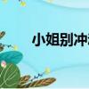 小姐別沖動（關于小姐別沖動簡介）